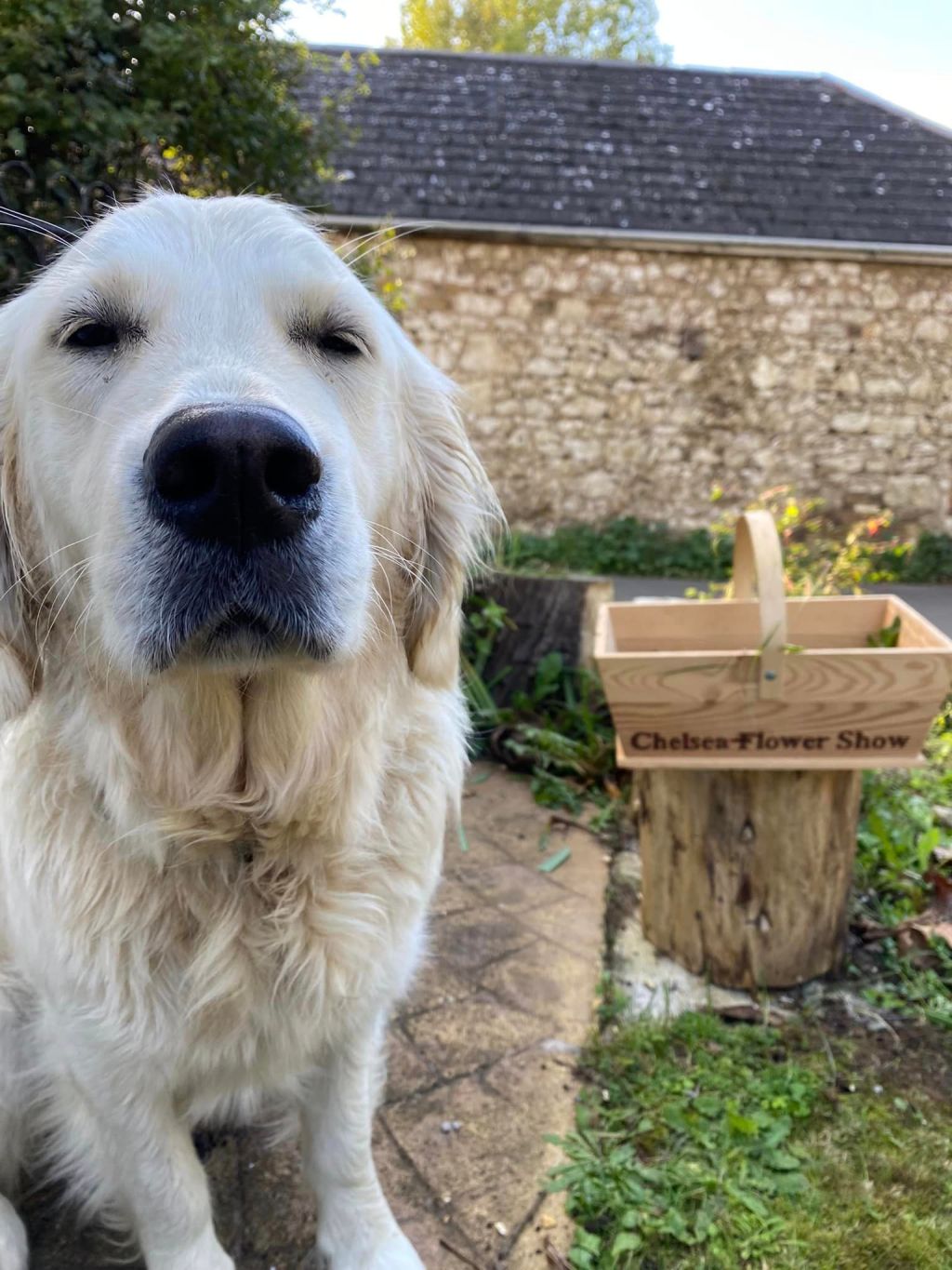 Growing with the&nbsp;seasons